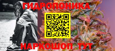 ПСИЛОЦИБИНОВЫЕ ГРИБЫ Кингисепп