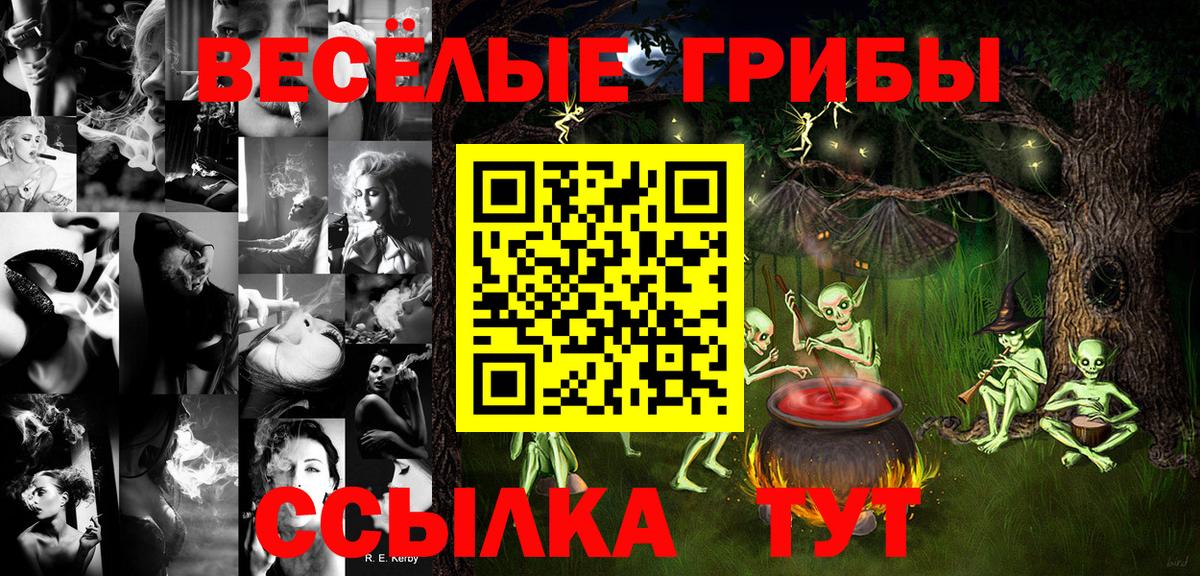 Псилоцибиновые грибы мицелий Орёл